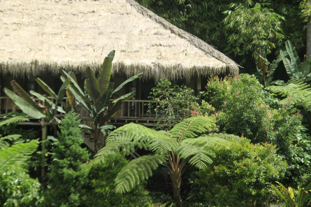 ホテル Warung Rekreasi Bedugul 部屋 写真