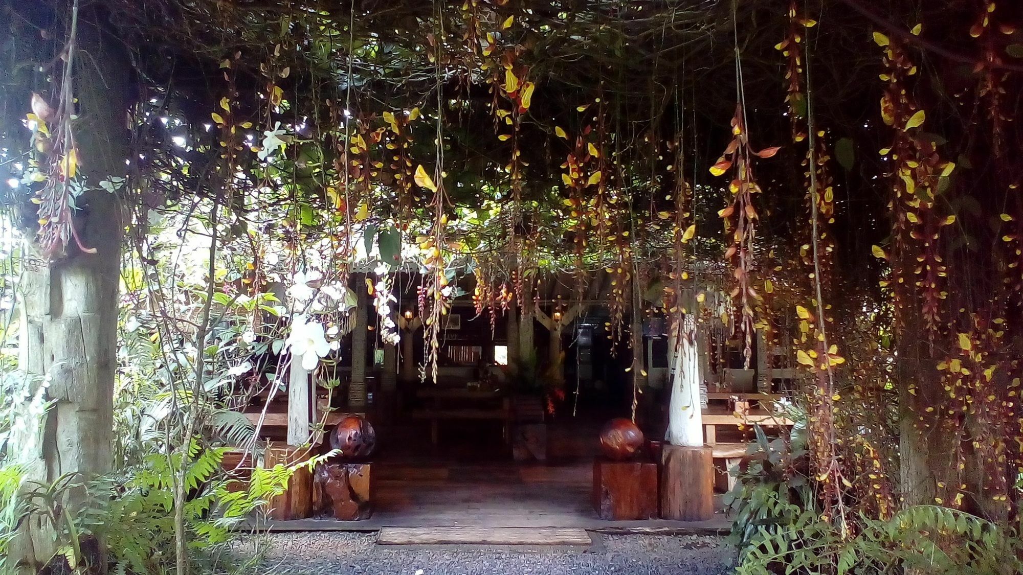 ホテル Warung Rekreasi Bedugul エクステリア 写真